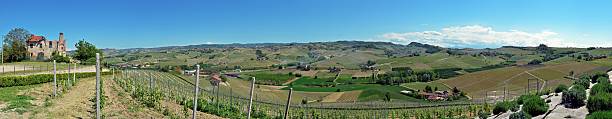 istock Alba, vineyards of the Langhe 622223100