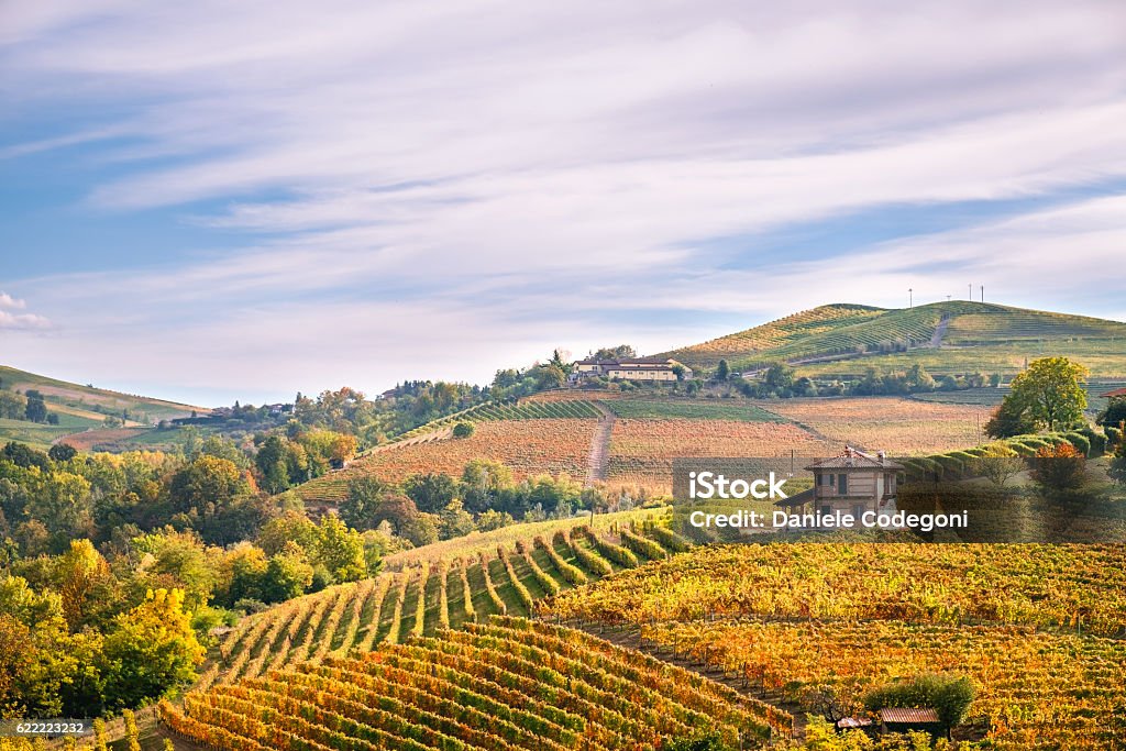 Langhe wineyards hills, Cuneo, Piedmont  Italy. Barolo, Barbaresco Dolcetto wines Langhe e Roero vineyards autumn landscape, Barolo, Dolcetto, Barcaresco wine. Cuneo province, Piedmont, Italy. Piedmont - Italy Stock Photo