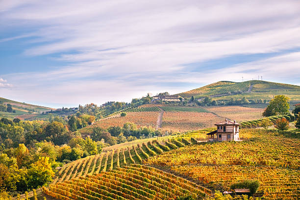 Langhe wineyards hills, Cuneo, Piedmont  Italy. Barolo, Barbaresco Dolcetto wines Langhe e Roero vineyards autumn landscape, Barolo, Dolcetto, Barcaresco wine. Cuneo province, Piedmont, Italy. piedmont italy photos stock pictures, royalty-free photos & images