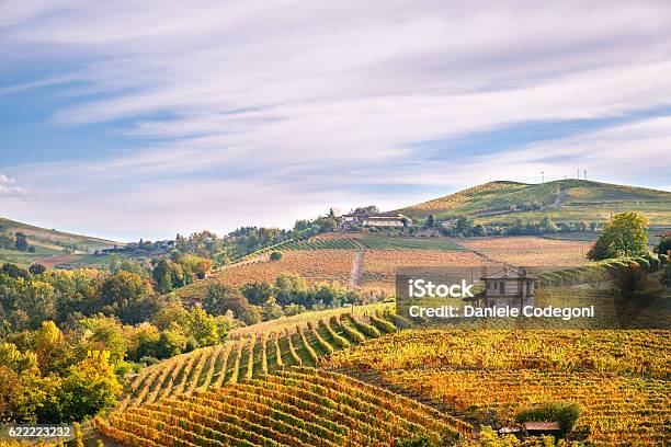 Langhe Wineyards Hills Cuneo Piedmont Italy Barolo Barbaresco Dolcetto Wines Stock Photo - Download Image Now
