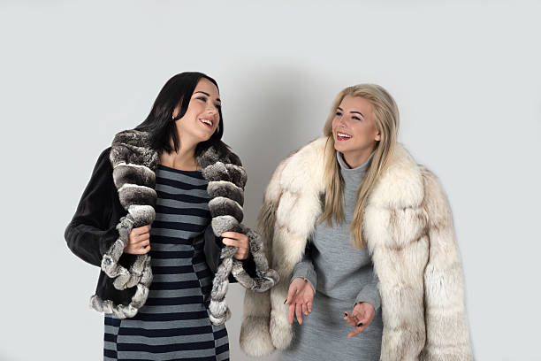 two  girlfriends  in short fur coats walk - frend imagens e fotografias de stock