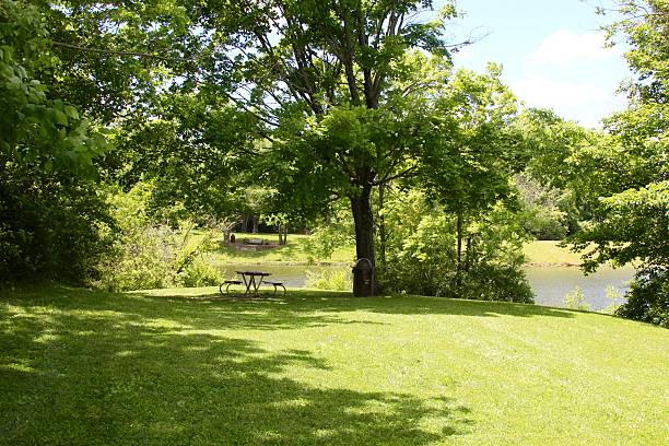 istock Picnic by the lake 622225620