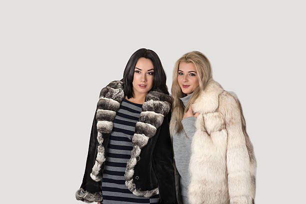 two  girlfriends in short fur coats walk - frend imagens e fotografias de stock