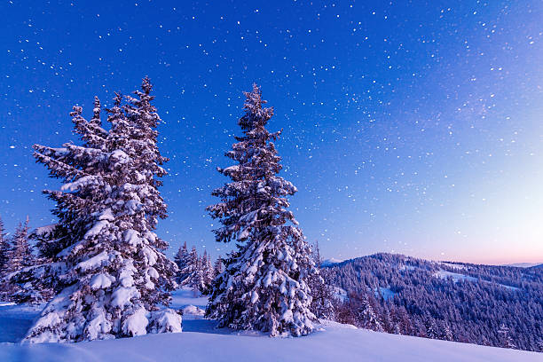 istock Winter trees in mountains covered with fresh snow 622278128