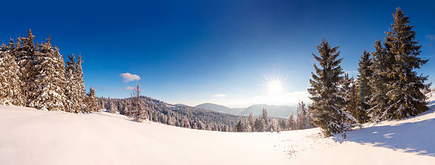 Winter trees in mountains covered with fresh snowWinter trees in mountains covered with fresh snow