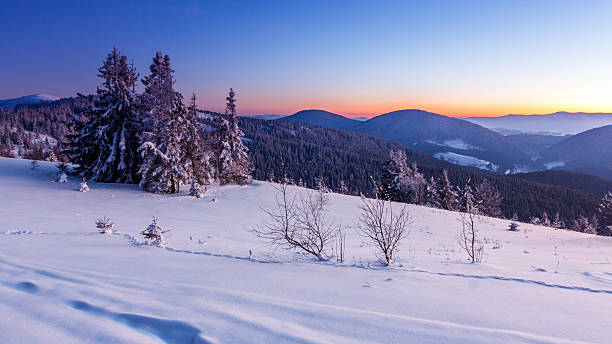 istock Winter trees in mountains covered with fresh snow 622279022