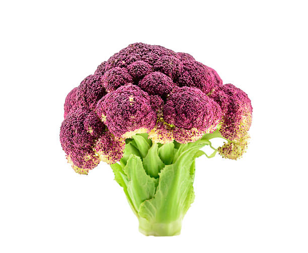 istock Purple cauliflower isolated on white 622279102