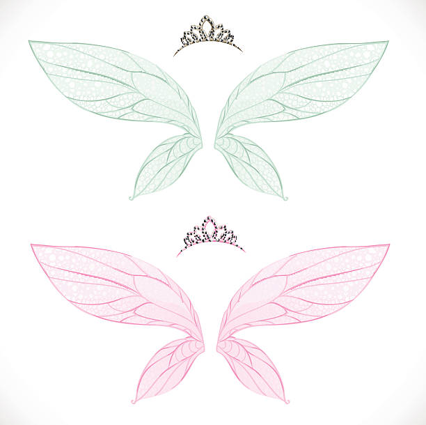illustrations, cliparts, dessins animés et icônes de ailes de fées avec tiare emmitouflé - fée
