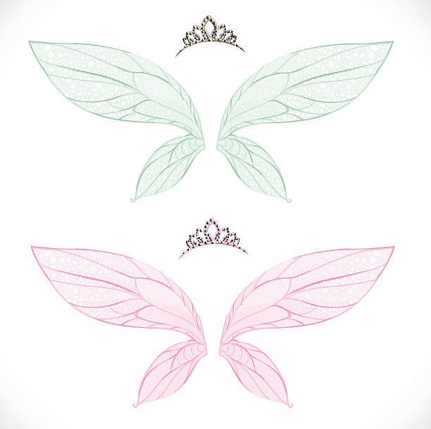 skrzydła bajki z tiarą w pakiecie - women crown tiara princess stock illustrations