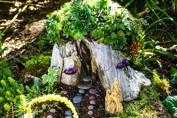 A fairy house or fairyhouse built into a tree stump and covered with green succulents.