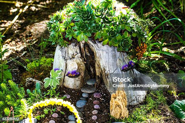 Tree Stump Fairyhouse With Succulents Stock Photo - Download Image Now - Fairy, House, Tree Stump