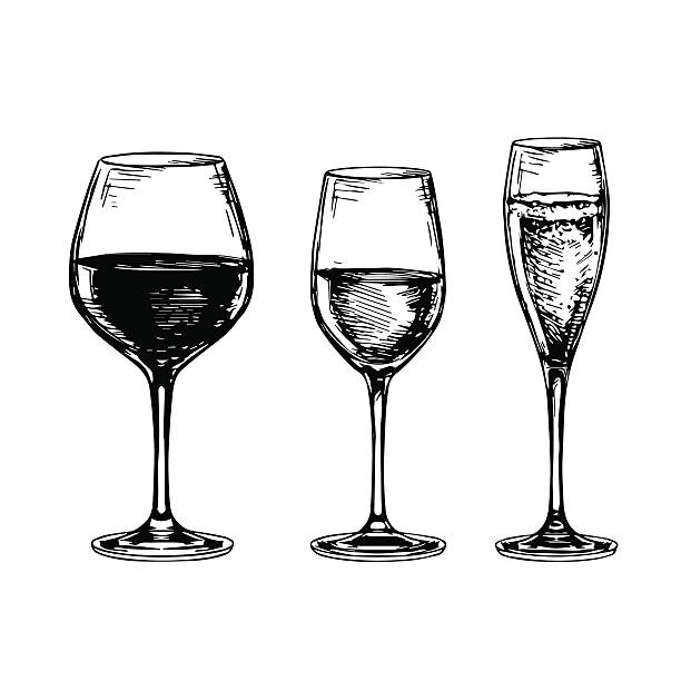Set of wine glasses. Sketch set wineglasses. Red wine, white wine and champagne. Isolated on white background. Hand drawn vector illustration. wineglass illustrations stock illustrations