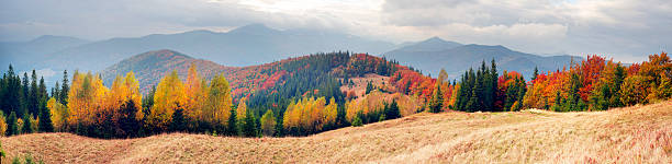 istock view of the Gorgan Hamster, Siniak, Javornik fall. 622287790