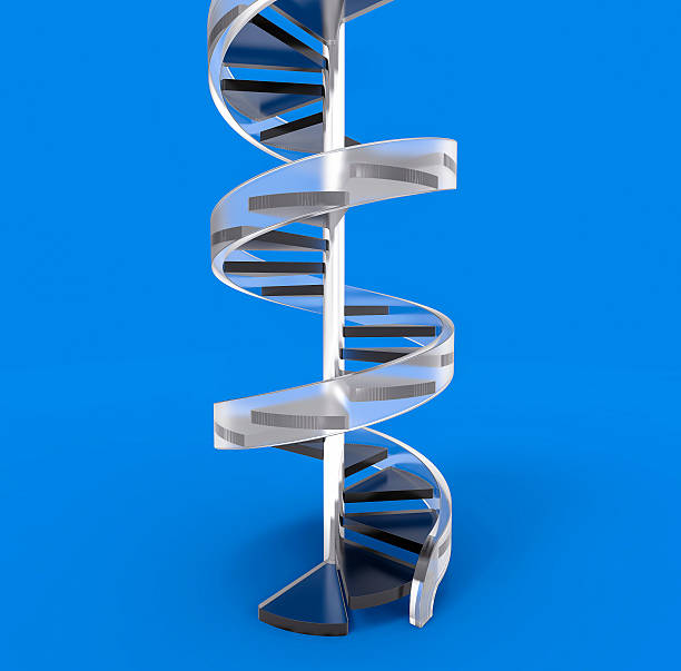 istock 3D Isolated Spiral Staircase. Architecture Design Vintage Room. 622288106
