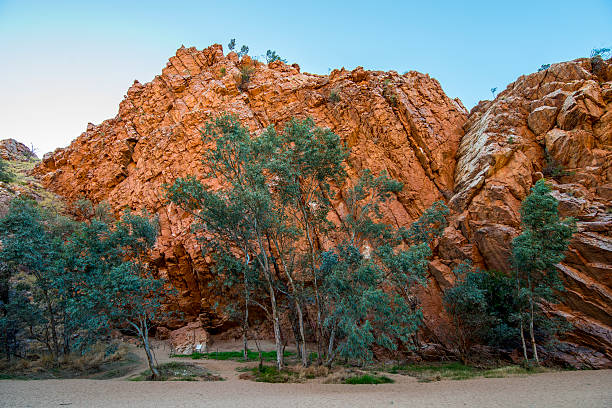 emily gap, alice springs, australia - northern territory macdonnell ranges australia eucalyptus imagens e fotografias de stock