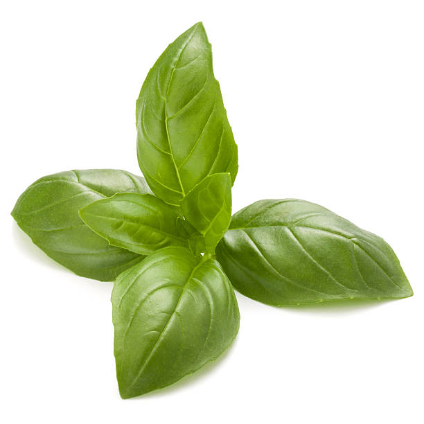 istock Sweet basil herb leaves isolated on white background closeup 622291172