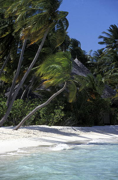 istock beach with the seascape 622291640