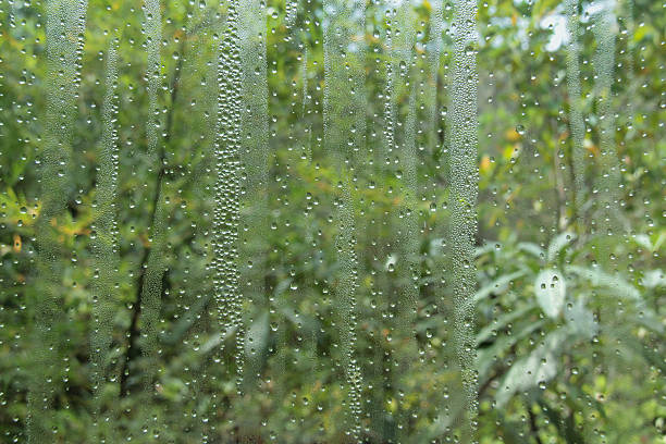istock Close-up water drops on the glass 622292120