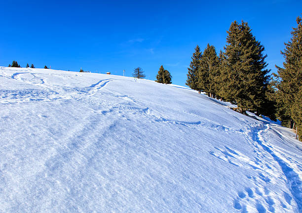 istock View on Mount Rigi in winter 622292752