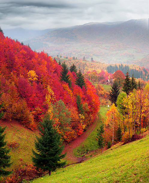 istock mountain village in autumn 622293664