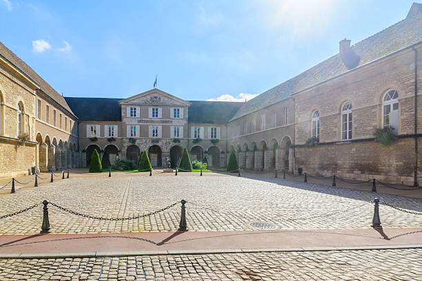istock The town hall (hotel de ville), in Beaune 622294970