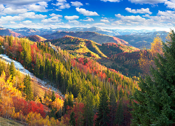 istock Golden Forest Ridge Sokilsky 622295220