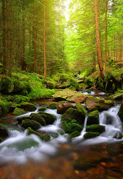 istock Mountain stream in the National park Sumava 622295778