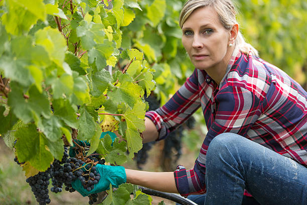 istock female farmer in vineyard 622295982