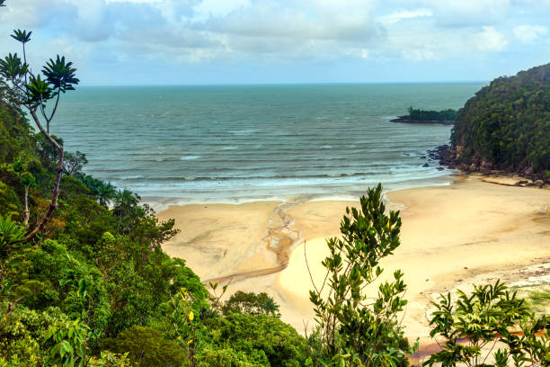 istock View on the beach in Bako National Park 622297360
