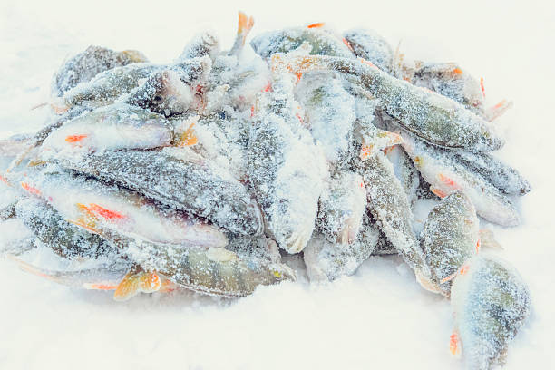 istock winter fishing on the lake 622297910