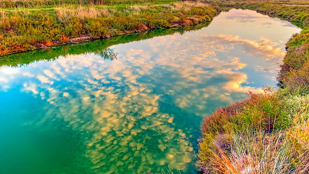 nuvens fofas refletem no colorido canal camargue ao pôr do sol - herb famous place backwater standing water - fotografias e filmes do acervo