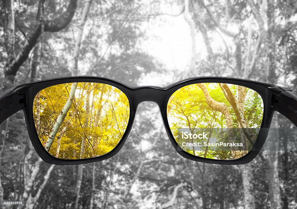 Gläser mit Wald, ausgewählter Fokus auf Linse, Farbblindheitsgläser - Lizenzfrei Farbenblindheit Stock-Foto