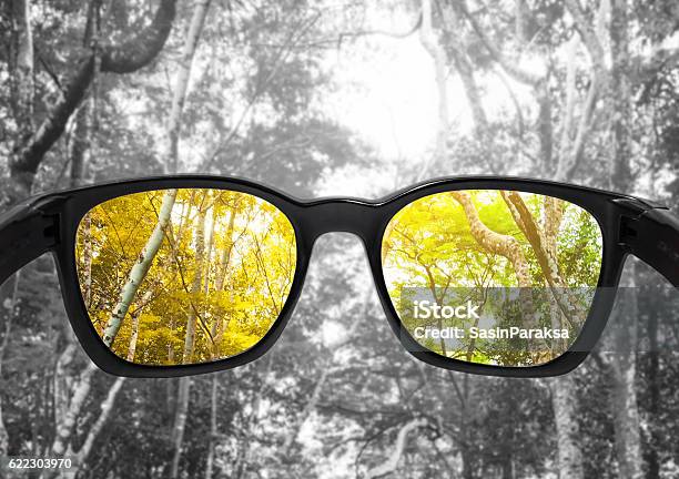Gläser Mit Wald Ausgewählter Fokus Auf Linse Farbblindheitsgläser Stockfoto und mehr Bilder von Farbenblindheit