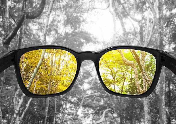 istock Glasses with forest, selected focus on lens,  colour blindness glasses 622303970