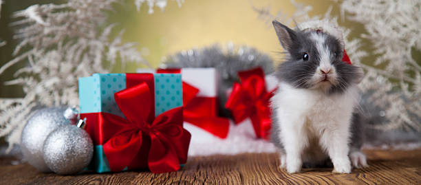istock Christmas bunny, santa baby red hat 622304736
