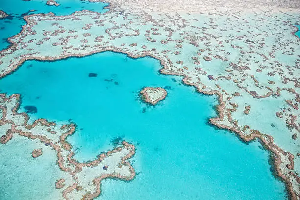 Photography of the Heart Reef in the Great Barrier Reef on a scenic flight.