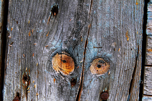 istock Part of wooden texture on old house 622306586