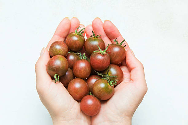 istock Woman's hands holding beautiful, small, red cherry tomatoes. Healthy eating. 622306908