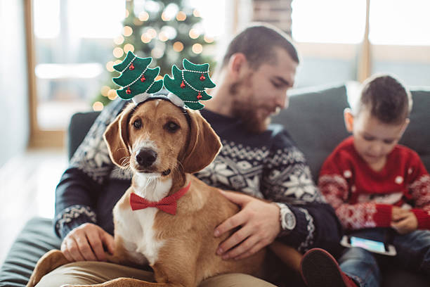 istock I love Christmas too! 622307040