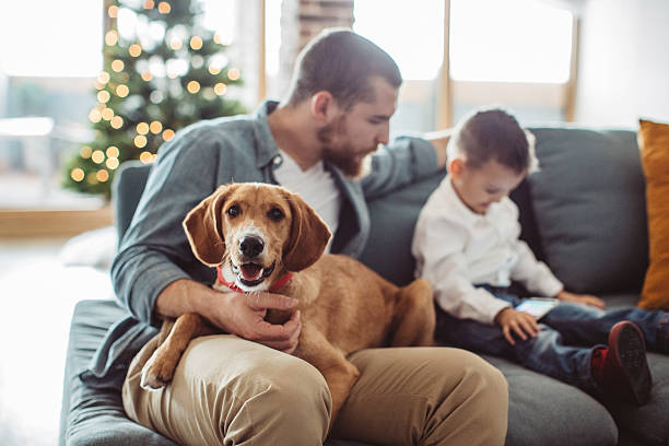 les garçons s’amusent. - dog family indoors child photos et images de collection