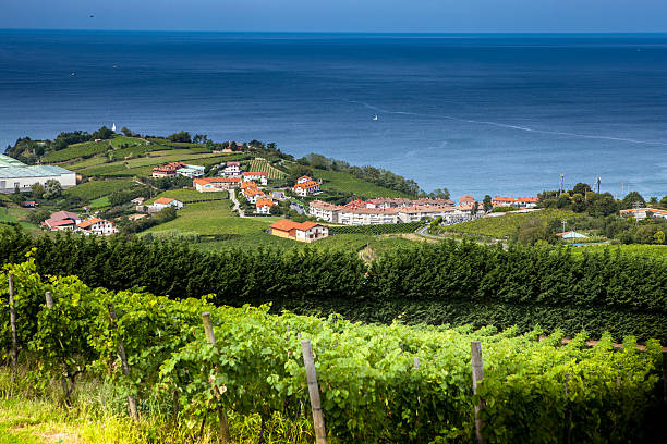 istock The vineyards of  Getaria 622308120