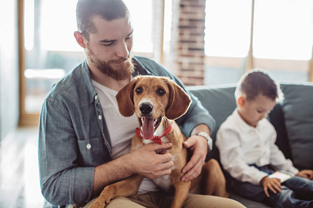 istock Happiest is the home with a dog 622308630