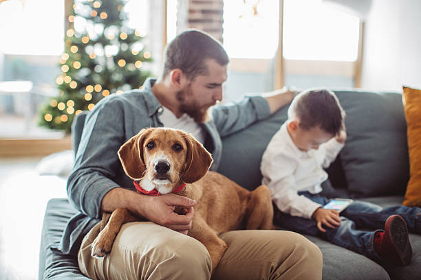 istock Just hanging with my boys 622308834