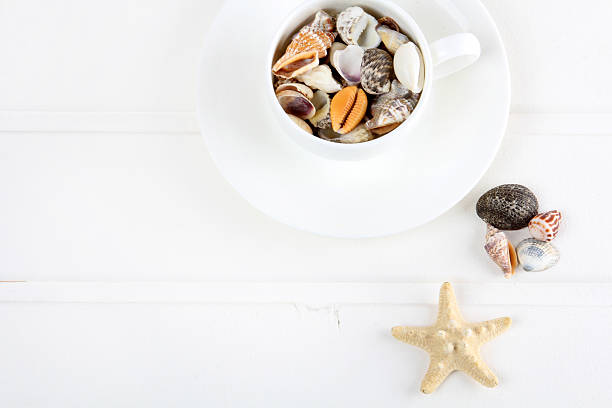 istock Cup coffee shells Morning coffee concept Sea 622309474