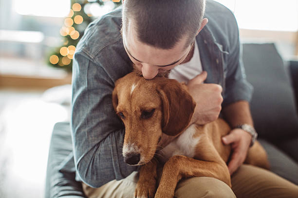 él realmente es el mejor amigo del hombre - people dog winter cute fotografías e imágenes de stock