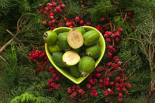 feijoa fuente de yodo. - feijoas ripe fruit iodine fotografías e imágenes de stock