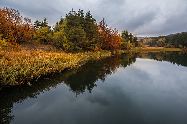 istock Autumn forest and nature colours 622313484