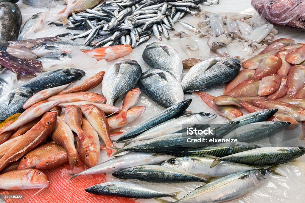 Swordfish and other fish and seafood Swordfish and other fish and seafood for sale at a market in Palermo, Sicily Fish Stock Photo