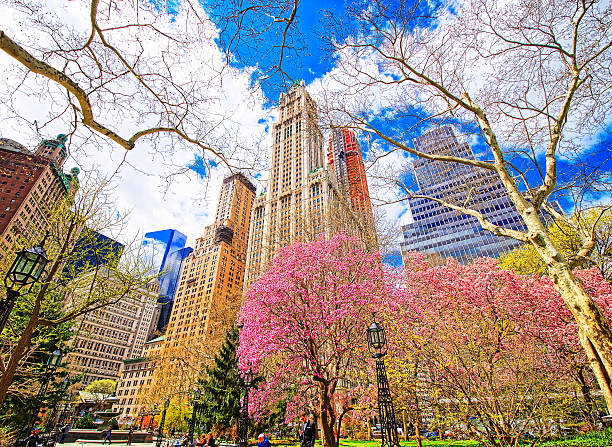 los árboles florecen en el parque del ayuntamiento del bajo manhattan - lower manhattan skyline new york city city fotografías e imágenes de stock