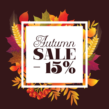 -15% fall sale square frame banner. Vector illustration, discount offer with autumn season red, yellow, orange maple leaves, mountain ash berries, branches, leaves background.